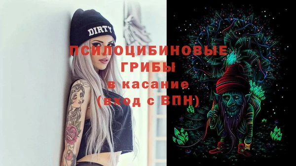 spice Володарск