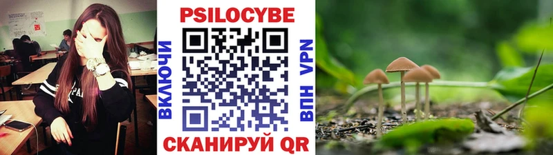купить закладку  Воронеж  Галлюциногенные грибы Magic Shrooms 
